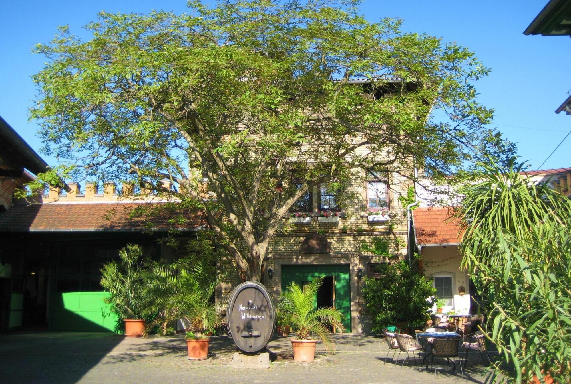Gaestehaus Guntersblum Eksteriør bilde